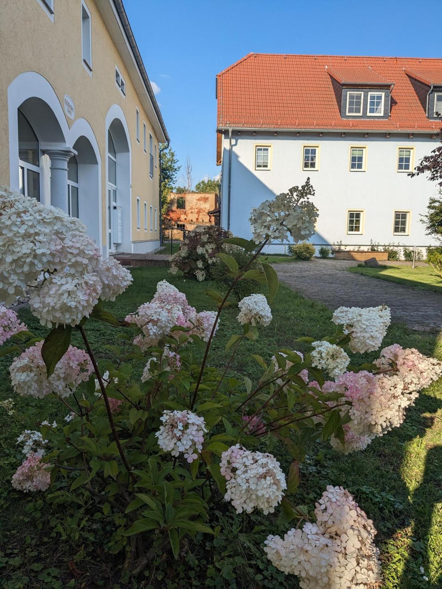 Апартаменты Hof Gruebler Klipphausen Экстерьер фото